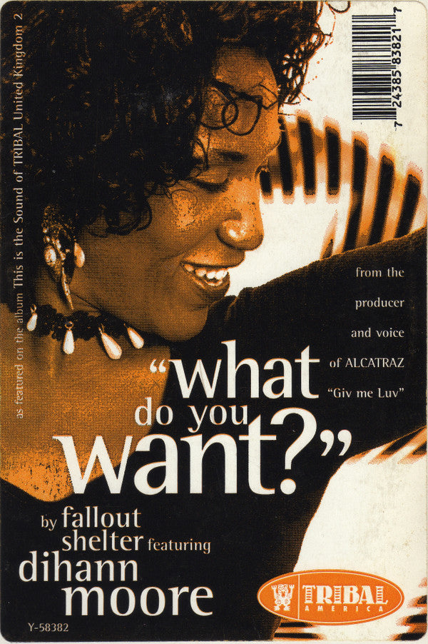 Fallout Shelter Featuring Dihann Moore : What Do You Want? (12")