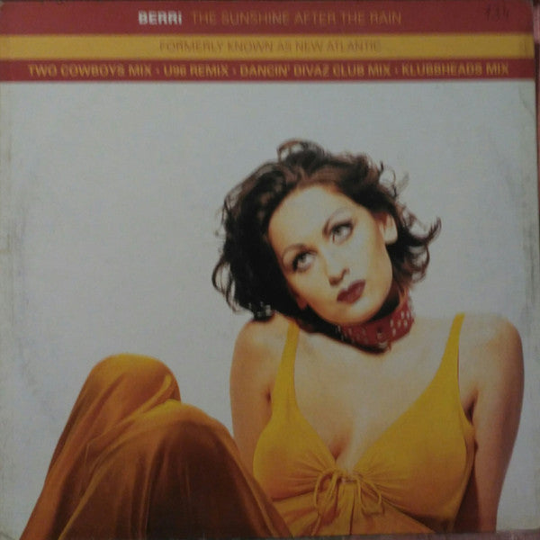 BERRi - The Sunshine After The Rain (12")