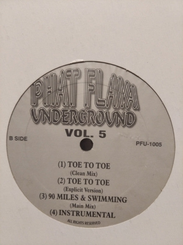 Various - Phat Flava Underground Vol.5 (12", W/Lbl)