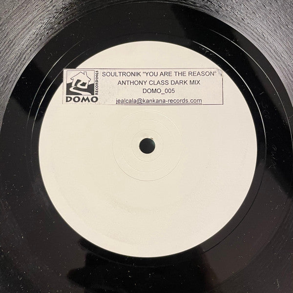 Soultronik : You Are The Reason (12", W/Lbl)