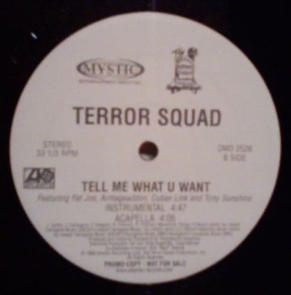 Terror Squad Featuring Fat Joe, Armageaddon*, Cuban Link And Tony Sunshine - Tell Me What U Want (12", Promo)