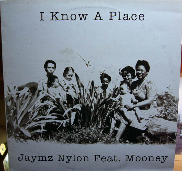 Jaymz Nylon Feat. Mooney : I Know A Place (12")