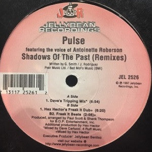 Pulse Featuring The Voice Of Antoinette Roberson - Shadows Of The Past (Remixes) (12")