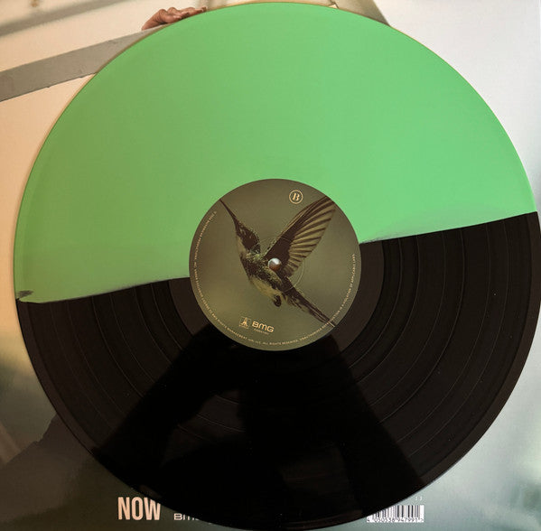 Jennifer Lopez - This Is Me...Now (LP, Album, Gre)