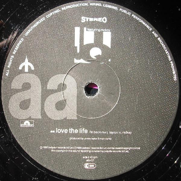 The James Taylor Quartet Featuring McKoy* : Love The Life (12", Single)