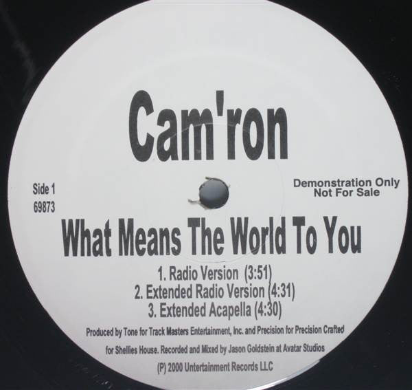Cam'ron - What Means The World To You Remix (12", Promo)