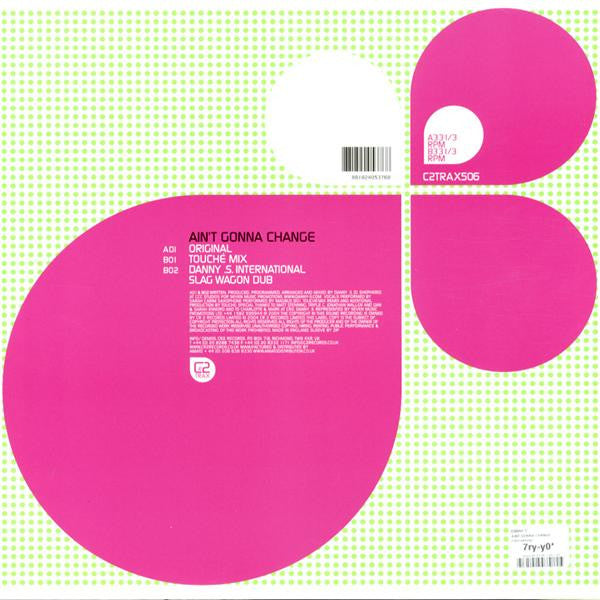 Danny S : Ain't Gonna Change (12")