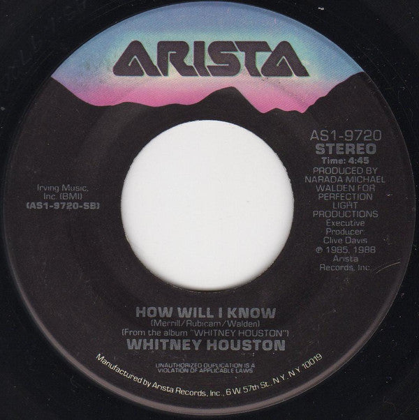Whitney Houston - Love Will Save The Day (7", Single, SRC)