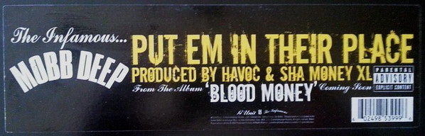 Mobb Deep : Put Em In Their Place (12")