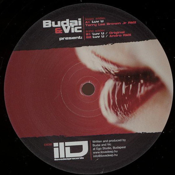 Budai & Vic - Luv U (12")