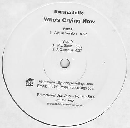 Karmadelic : Who's Crying Now (2x12", Promo)