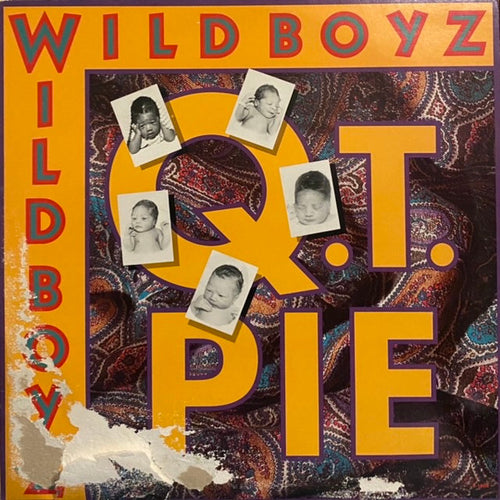 The Wild Boyz - Q.T. Pie (12")