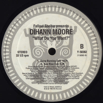 Fallout Shelter Featuring Dihann Moore : What Do You Want? (12")