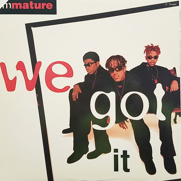Immature : We Got It (12", Single)