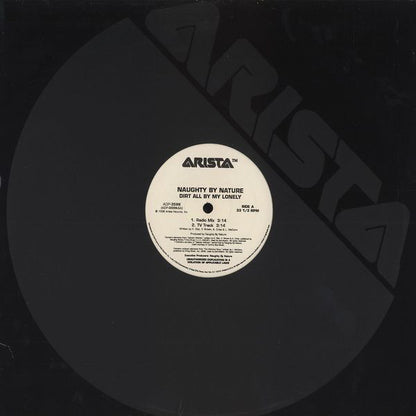 Naughty By Nature : Dirt All By My Lonely (12")