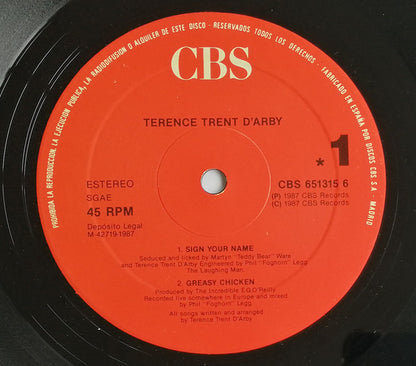 Terence Trent D'arby - Sign Your Name (12")