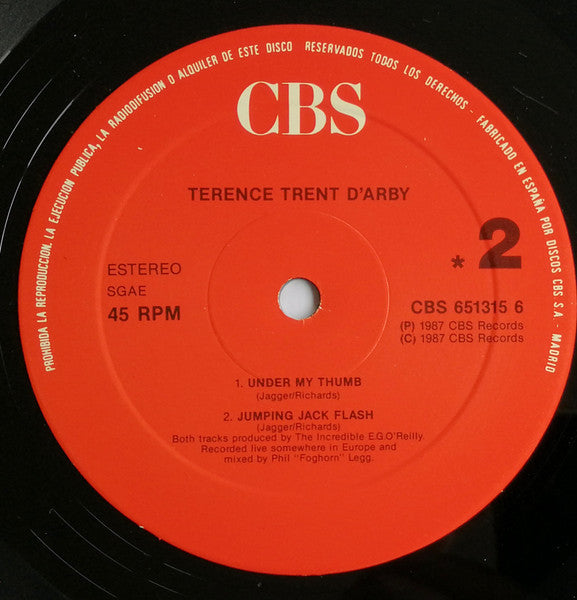 Terence Trent D'arby - Sign Your Name (12")