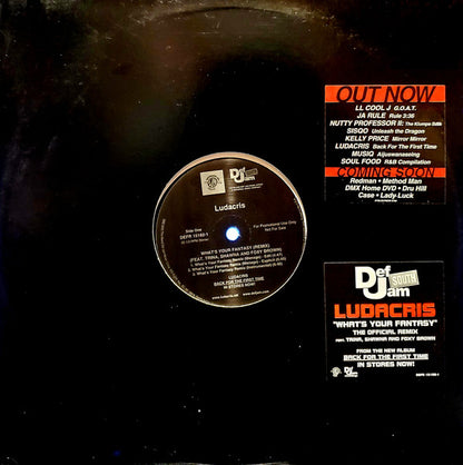 Ludacris : What's Your Fantasy (Remix) / Ho (12", Promo)