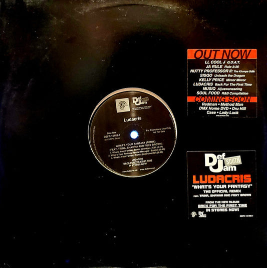 Ludacris : What's Your Fantasy (Remix) / Ho (12", Promo)