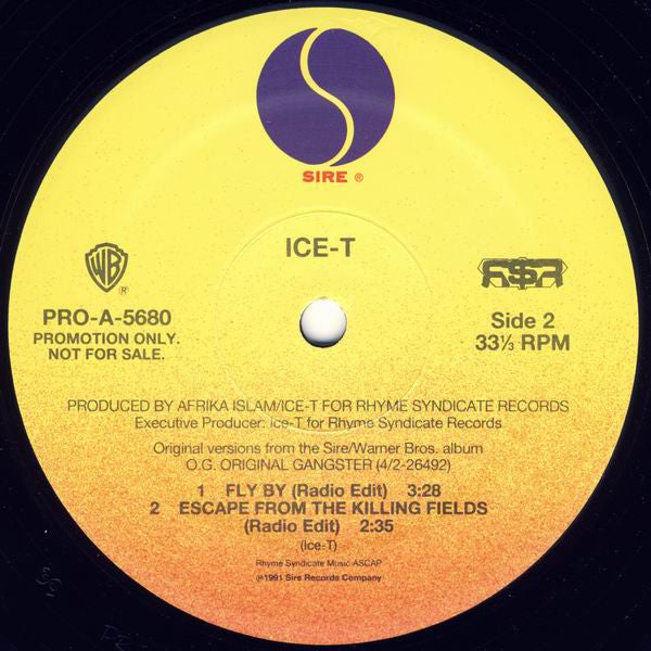Body Count / Ice-T - The Winner Loses / Fly By (12", Promo)