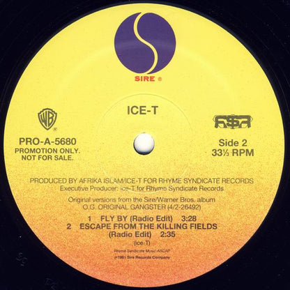Body Count / Ice-T - The Winner Loses / Fly By (12", Promo)