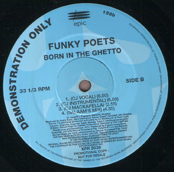 Funky Poets - Born In The Ghetto (12", Promo)