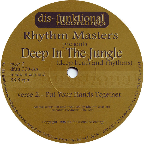 Rhythm Masters - Deep In The Jungle (12")