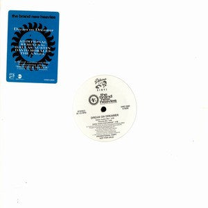 The Brand New Heavies : Dream On Dreamer (12", Promo)