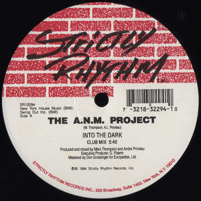 The A.N.M. Project - Into The Dark (12")