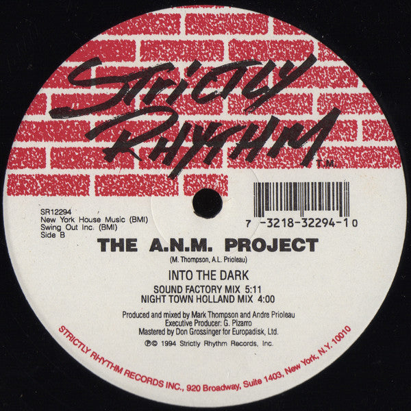The A.N.M. Project - Into The Dark (12")