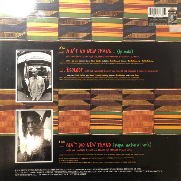 Blackanized* : Ain't No New Thang (12")