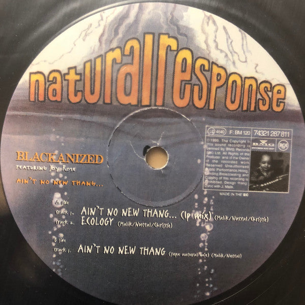Blackanized* : Ain't No New Thang (12")