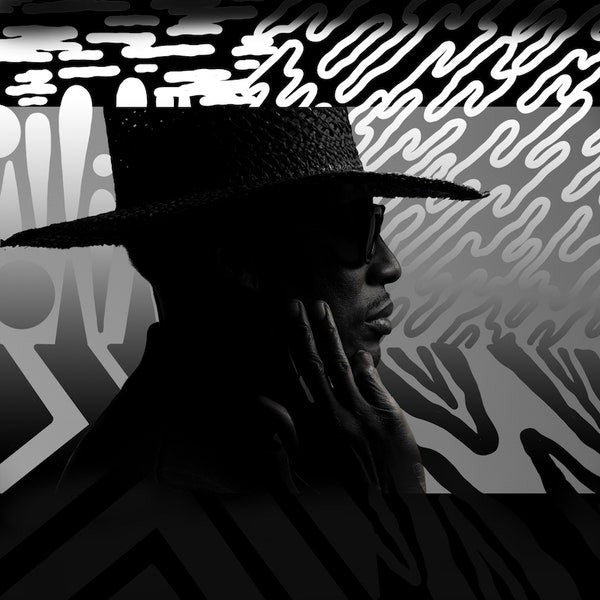 Raphael Saadiq : Jimmy Lee (2xLP, Album)