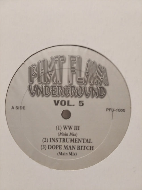 Various - Phat Flava Underground Vol.5 (12", W/Lbl)