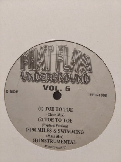 Various - Phat Flava Underground Vol.5 (12", W/Lbl)
