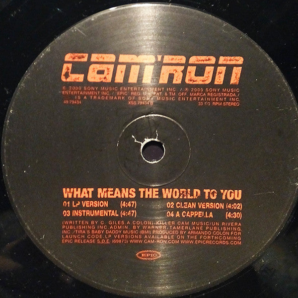 Cam'ron - That's Me / What Means The World To You (12", Single)
