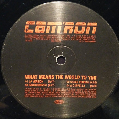 Cam'ron - That's Me / What Means The World To You (12", Single)