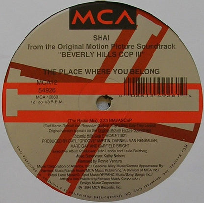 Shai (3) : The Place Where You Belong (12", Single)
