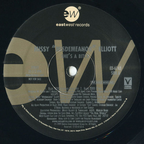 Missy Elliott : She's A Bitch (Blaze 2000 Remixes) (12", Promo)