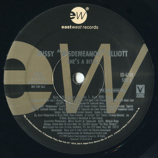 Missy Elliott : She's A Bitch (Blaze 2000 Remixes) (12", Promo)