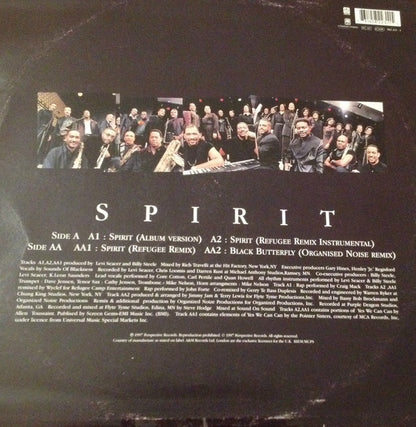 Sounds Of Blackness : Spirit (12")
