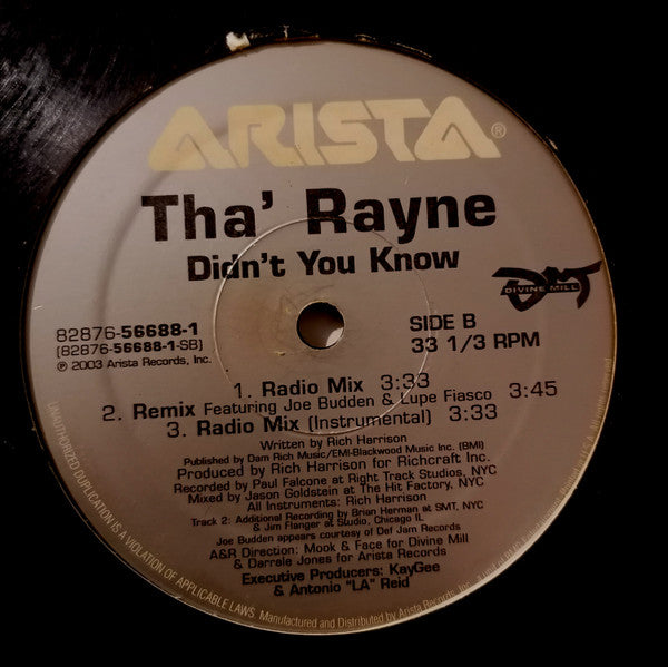 Tha' Rayne : Didn't You Know (12")