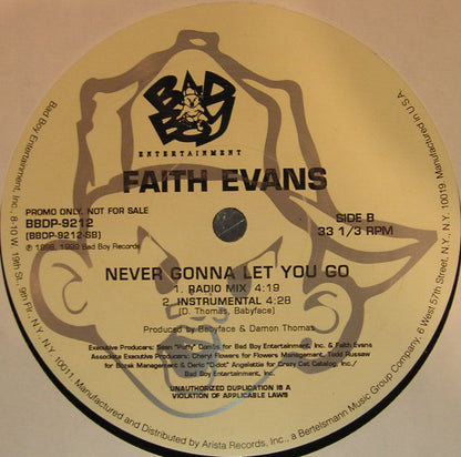 Faith Evans - Never Gonna Let You Go (12", Promo)