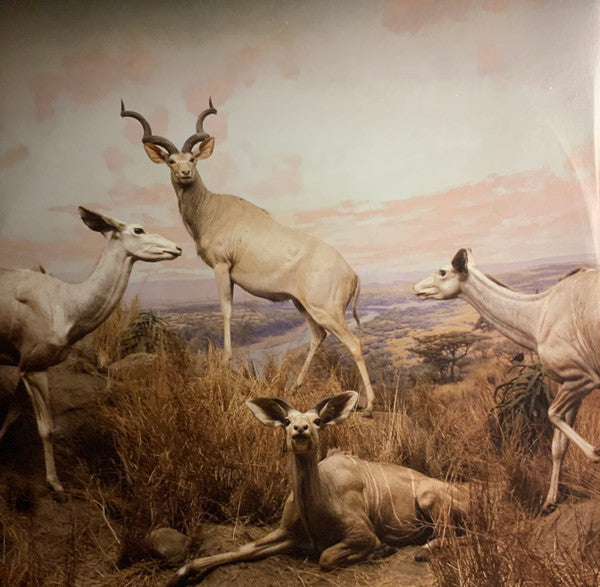 Interpol : Our Love To Admire (2xLP, Album, Ltd, RE, Blu)
