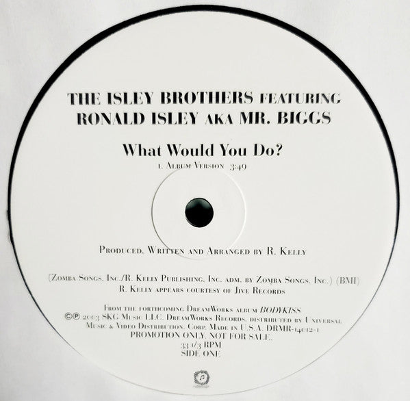 The Isley Brothers Featuring Ronald Isley A.K.A. Mr. Biggs  - What Would You Do? (12", Promo)