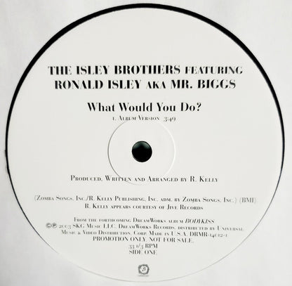 The Isley Brothers Featuring Ronald Isley A.K.A. Mr. Biggs  - What Would You Do? (12", Promo)