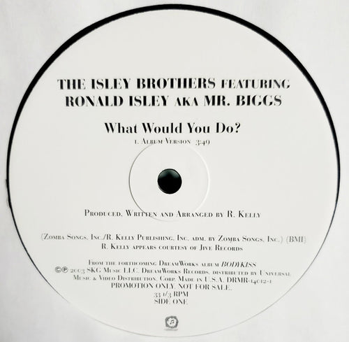 The Isley Brothers Featuring Ronald Isley A.K.A. Mr. Biggs  - What Would You Do? (12", Promo)