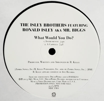 The Isley Brothers Featuring Ronald Isley A.K.A. Mr. Biggs  - What Would You Do? (12", Promo)