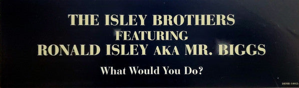 The Isley Brothers Featuring Ronald Isley A.K.A. Mr. Biggs  - What Would You Do? (12", Promo)