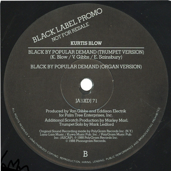 Kurtis Blow : Back By Popular Demand (12", Promo)